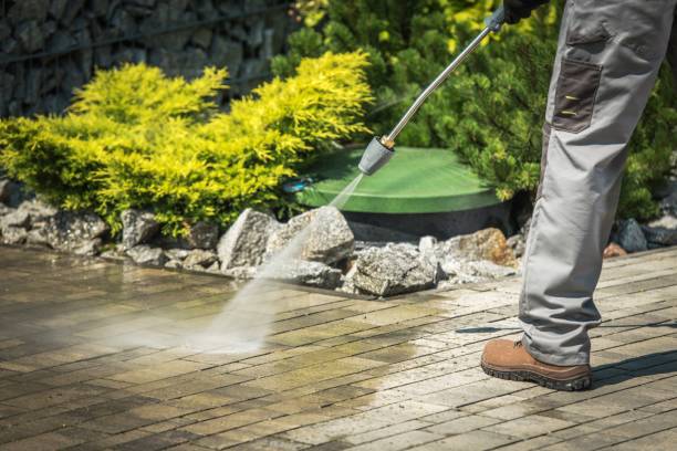 Animal Enclosure Cleaning in Hallam, PA